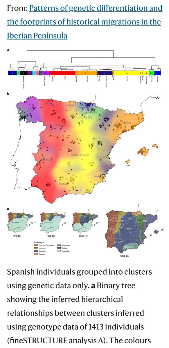 WaliaRex tweet media