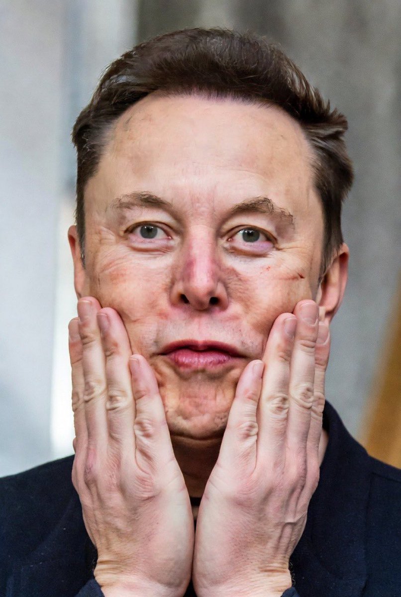 (FAN) ELON MUSK tweet media