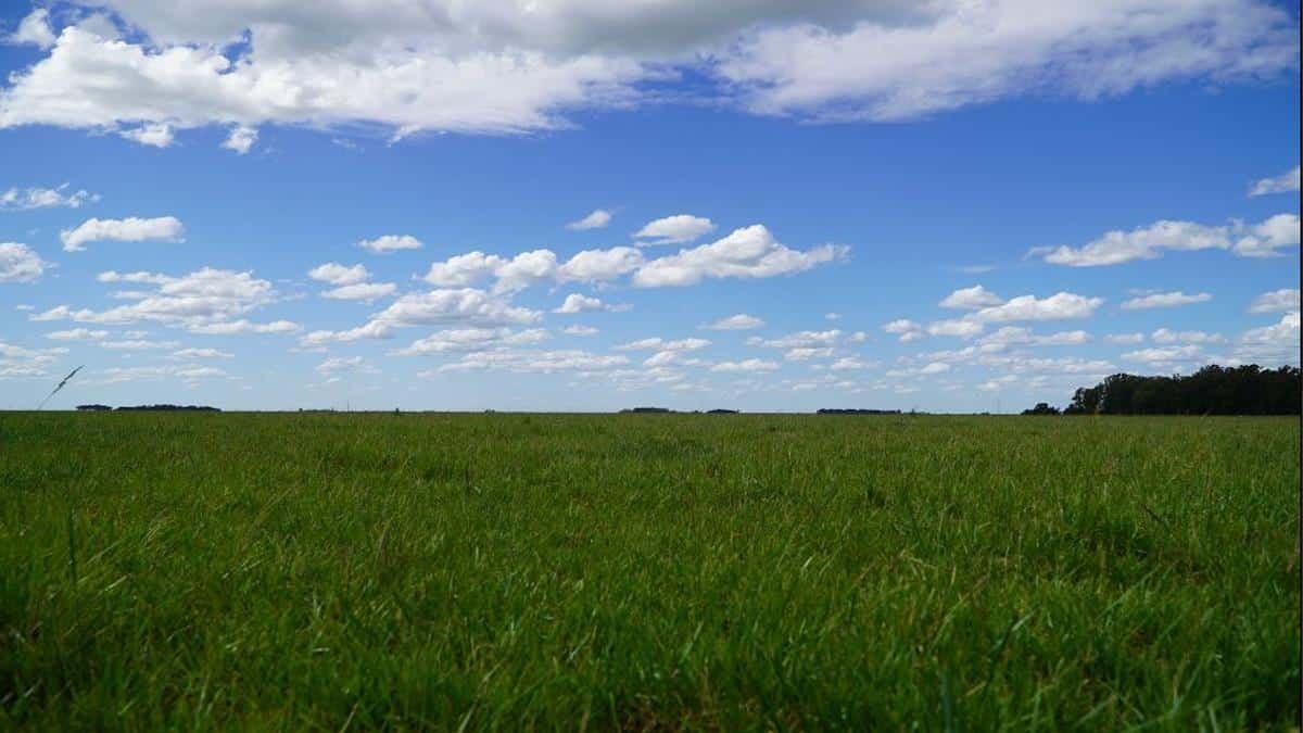 Ruralnet tweet media