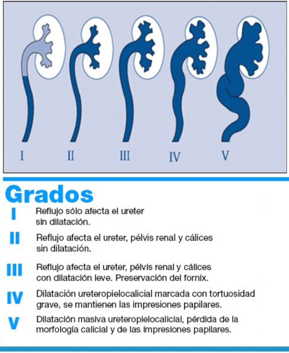 ENARM ⚡ Intensivo 💯👨🏻‍⚕️🩺📚🔬 tweet media