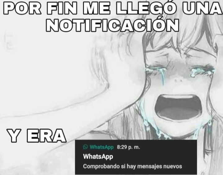 𓆩 luis 𓆪 tweet media