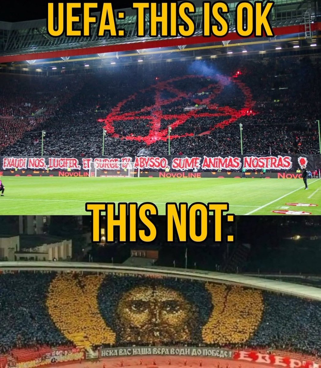 Joaquin Teixeira tweet media