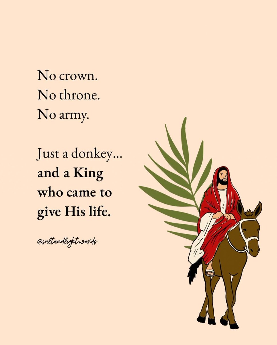 The Christian Walk tweet media