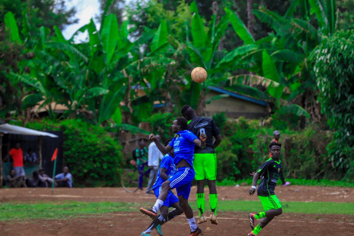 Mary Maingi tweet media