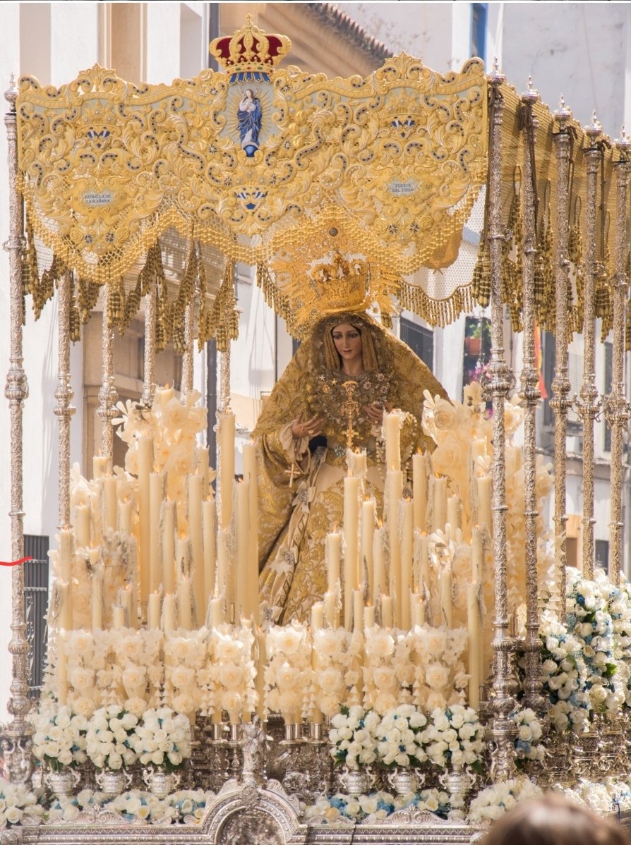 Divna Erzen tweet media