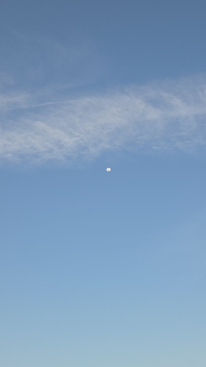 Maha RaJeh tweet media