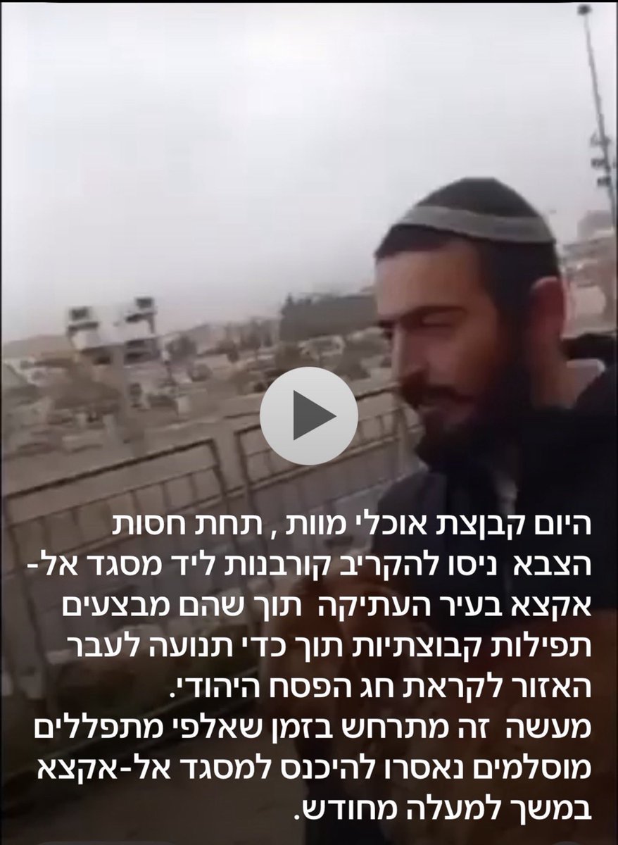 Roni ๐ฆญ๐
tweet media