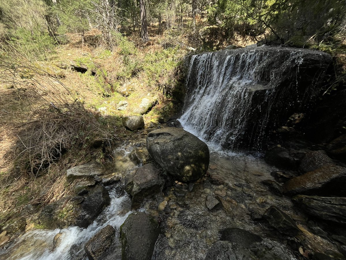 pabloperea tweet media