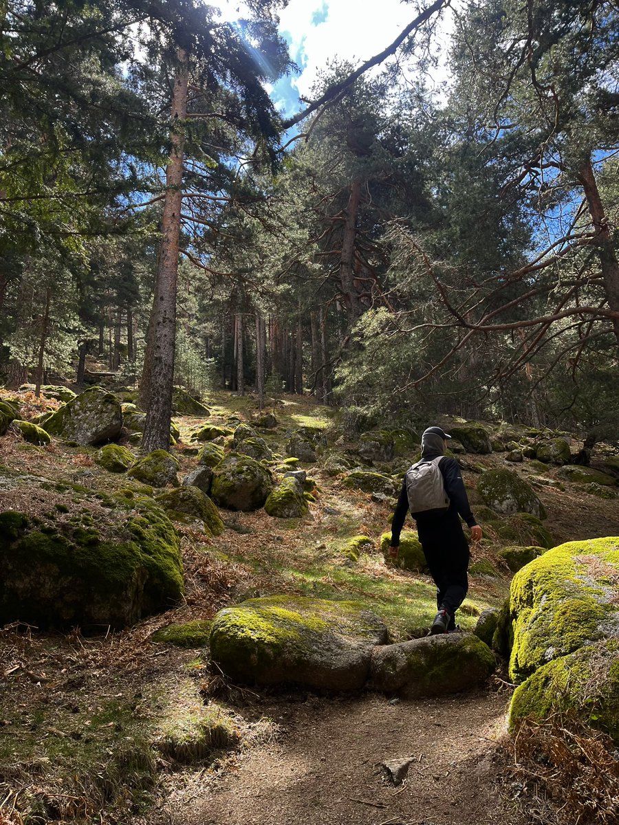 pabloperea tweet media