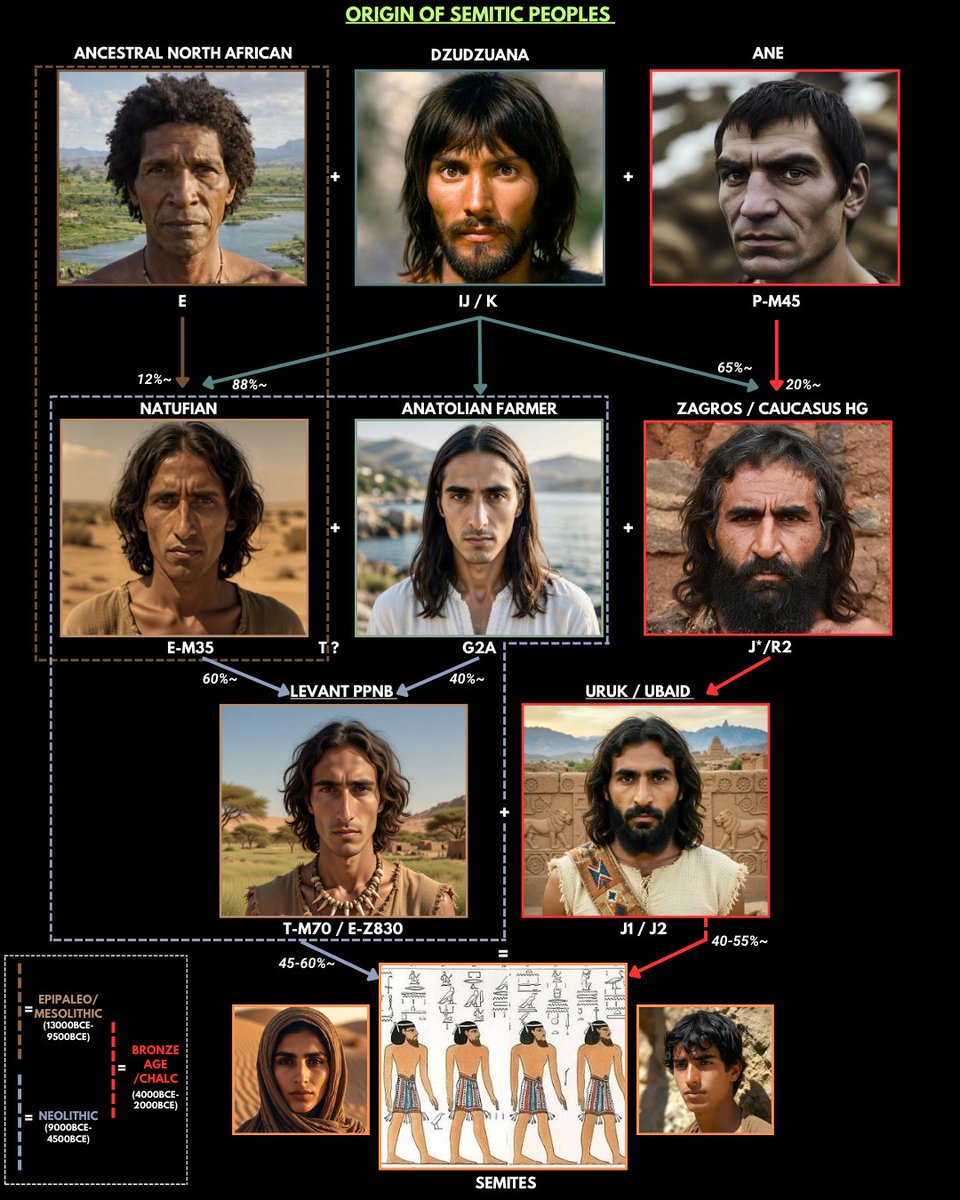 Arab Maeqili 🇵🇸 tweet media