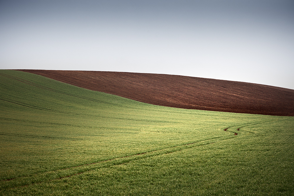 artlimitednet's tweet image. Spring by Bernd Walz artlimited.net/18034
#countryside #photooftheday #colors #graphic #acre #photography #minimal #abstract @canonusaimaging #color #nature #minimalism #earth #rural #colorized #landscape #spring #digital #landscapeart #agriculture #field #brown #colour…