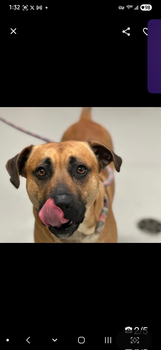 Julie🌻🐾 tweet media