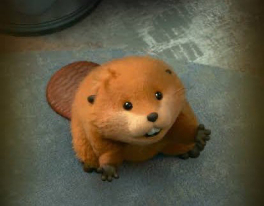 SwerveZone 🔆 -_• ZM22 FIRST EVER ZOINT!!!! tweet media