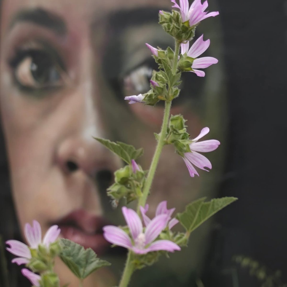 LᎾℬᎯ tweet media