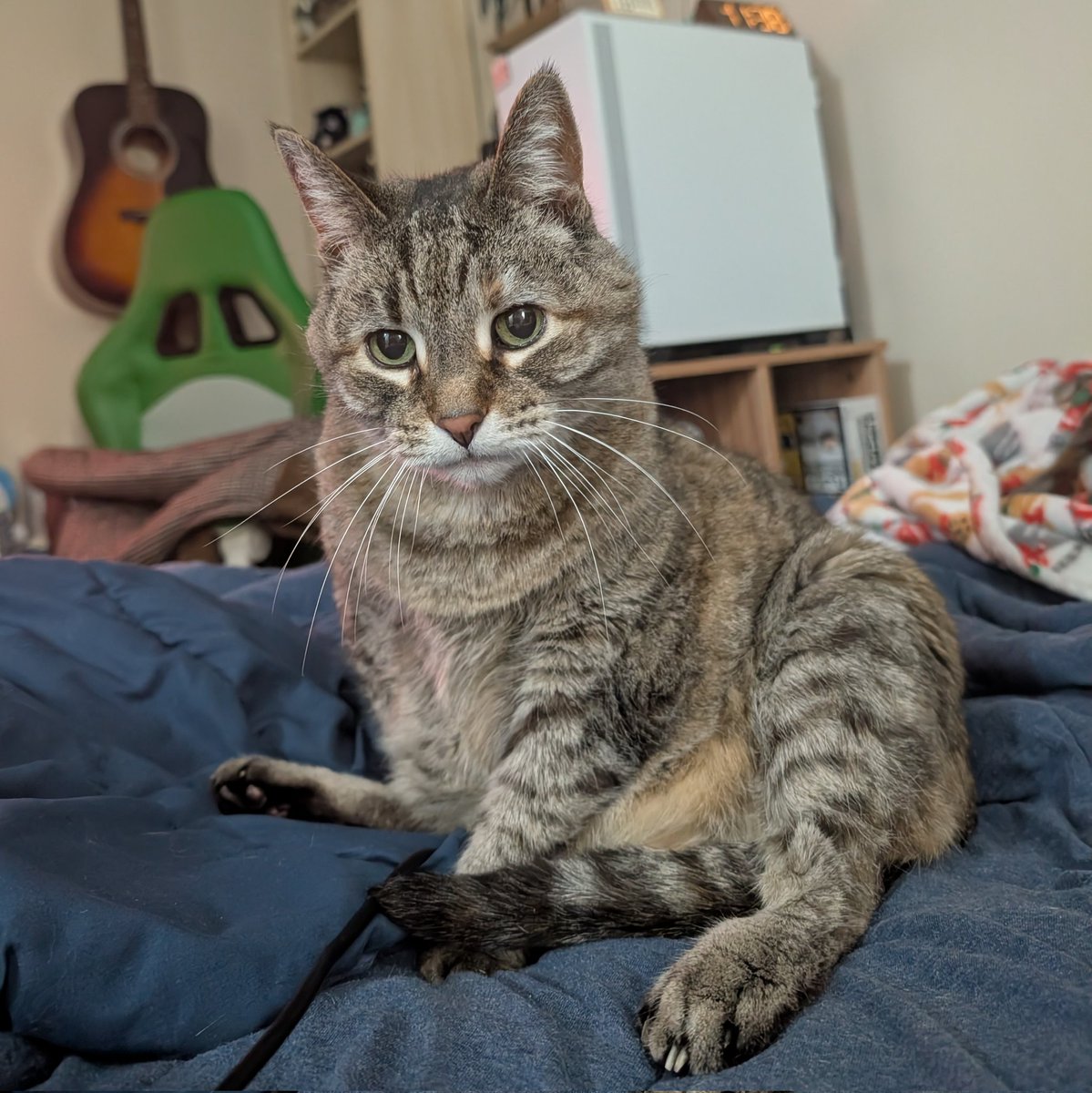 hazel 𖹭 tweet media