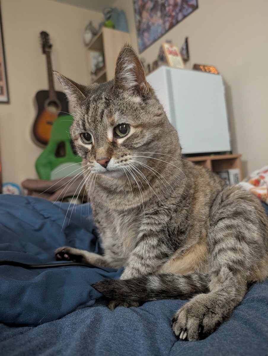 hazel 𖹭 tweet media