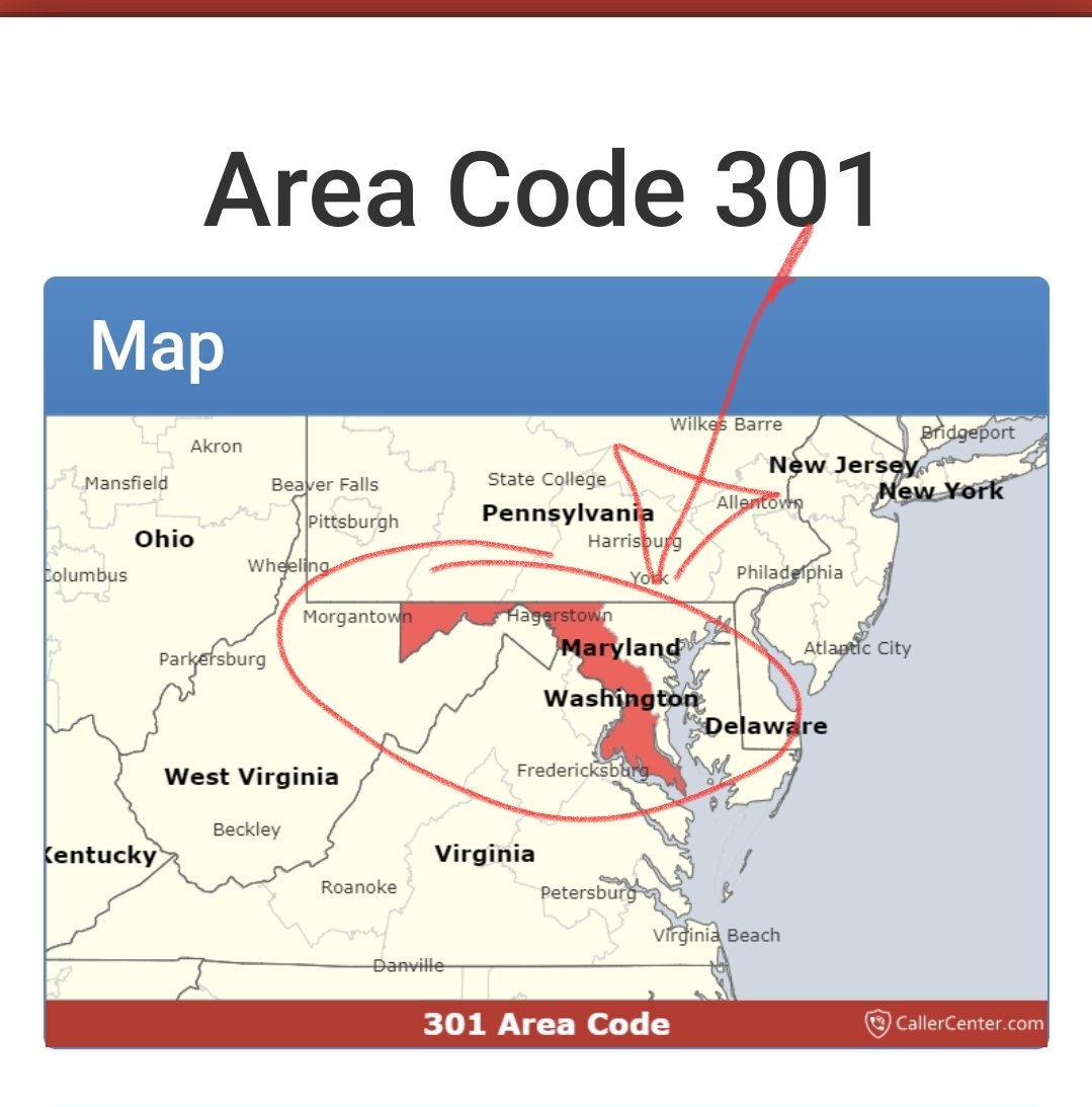 Storm Warning Mom 🕰🌲⛈️ tweet media