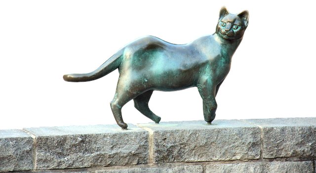 Susan Hansen tweet media