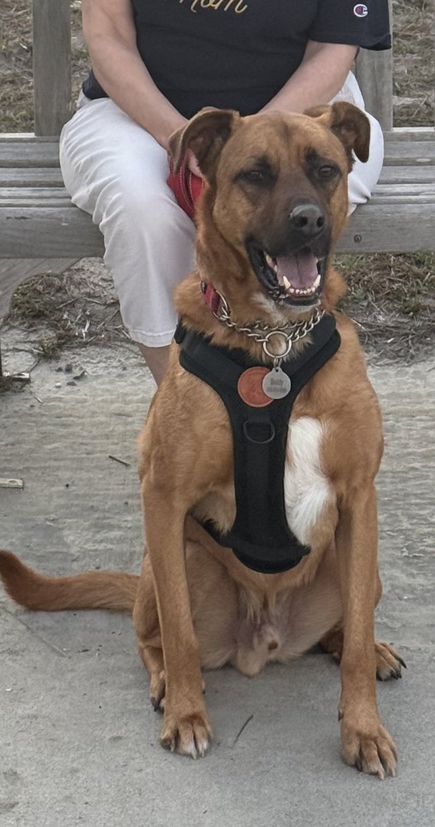 Dr. Jean Martin-Williams tweet media