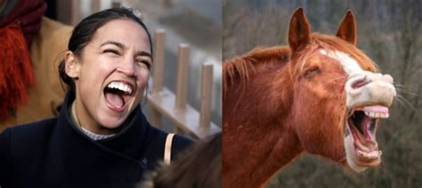 John Ford tweet media