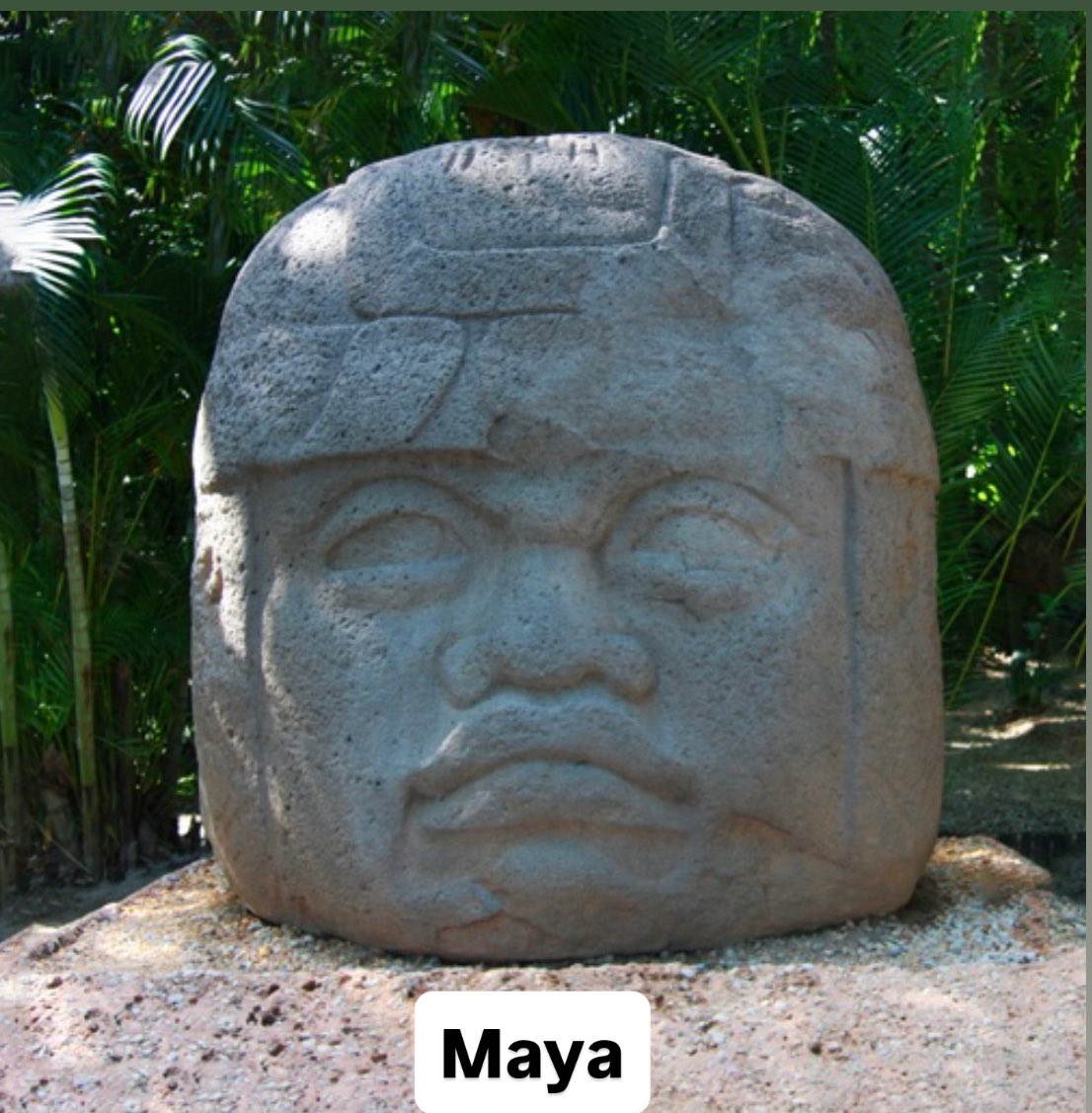 ⋆˚࿔ 𝑀𝒾𝓁𝓁𝒾𝑒 𝜗𝜚˚⋆ tweet media