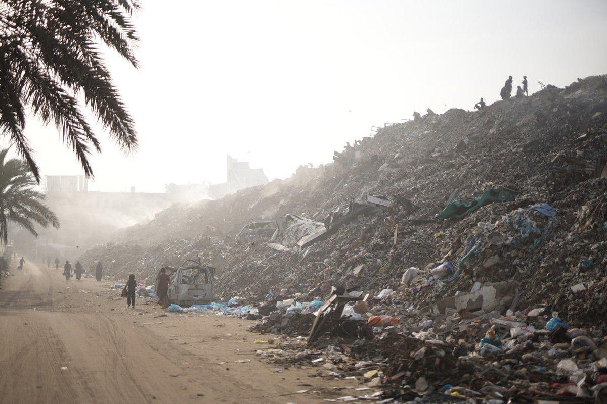 UNDP Palestine tweet media