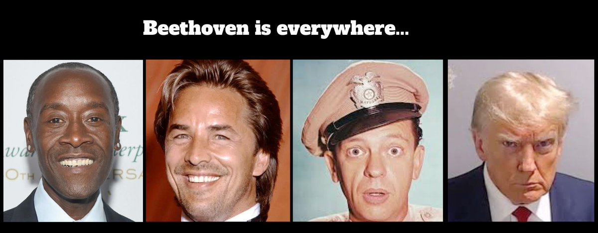 Jonathan Stokes tweet media