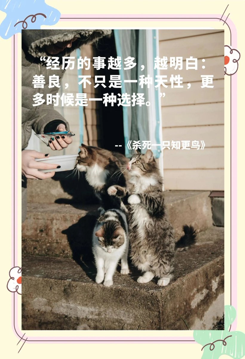 Steve Andrews tweet media