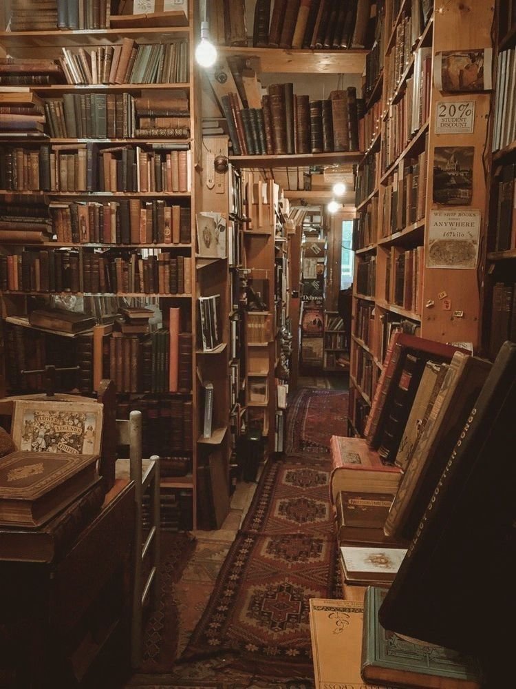 The Knowledge Archivist tweet media