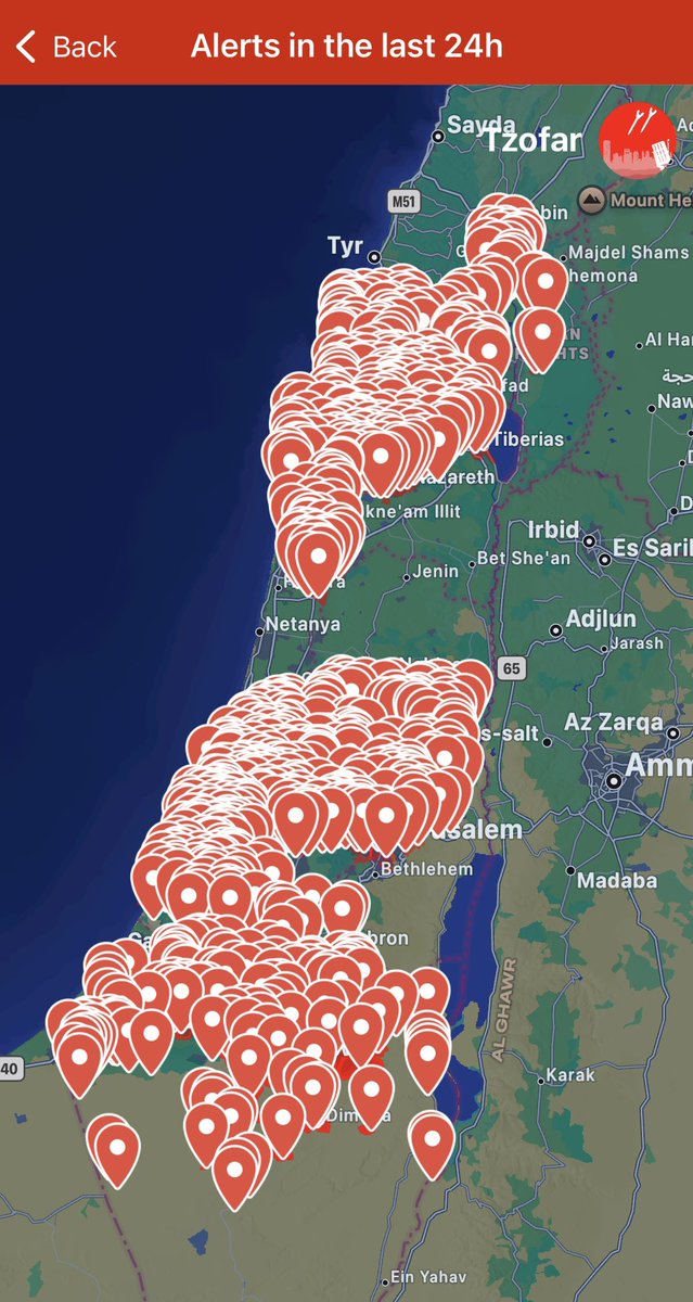 𝕷𝖎𝖑𝖆 𝕿𝖔𝖛 tweet media