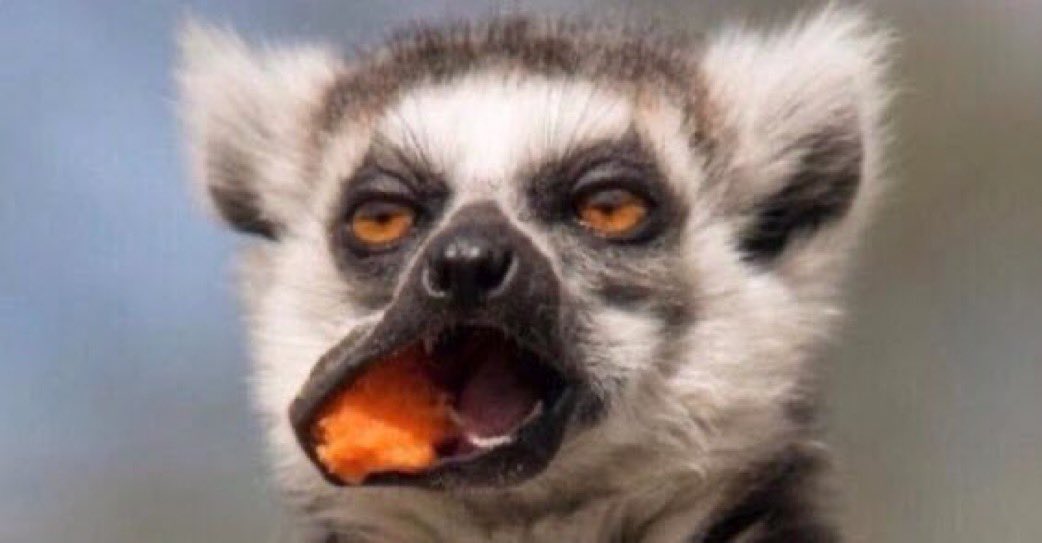 Me : Mom, let me introduce my girlfriend
Mom : You couldn't find anyone better?
Me : Mom, don't be rude, I love her.
Mom : I am speaking to her
Me :