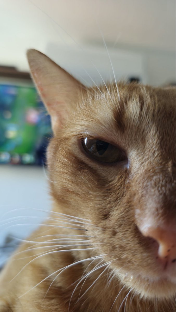 ViktorHL's tweet photo. A Pain morreu, só não sabem ainda... #ilhadaslendas @ilhadaslendas https://t.co/mgtHFmNHuu