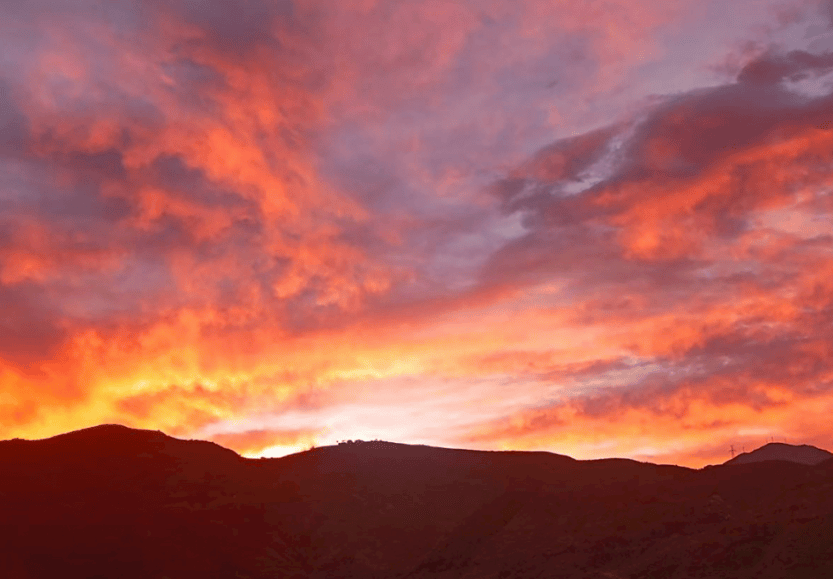 Alexander Kiendl tweet media