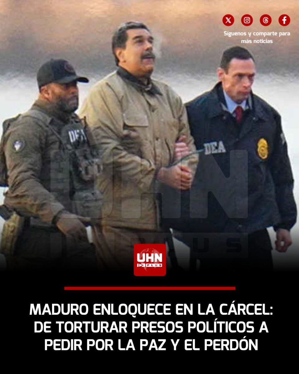 UHN Plus tweet media