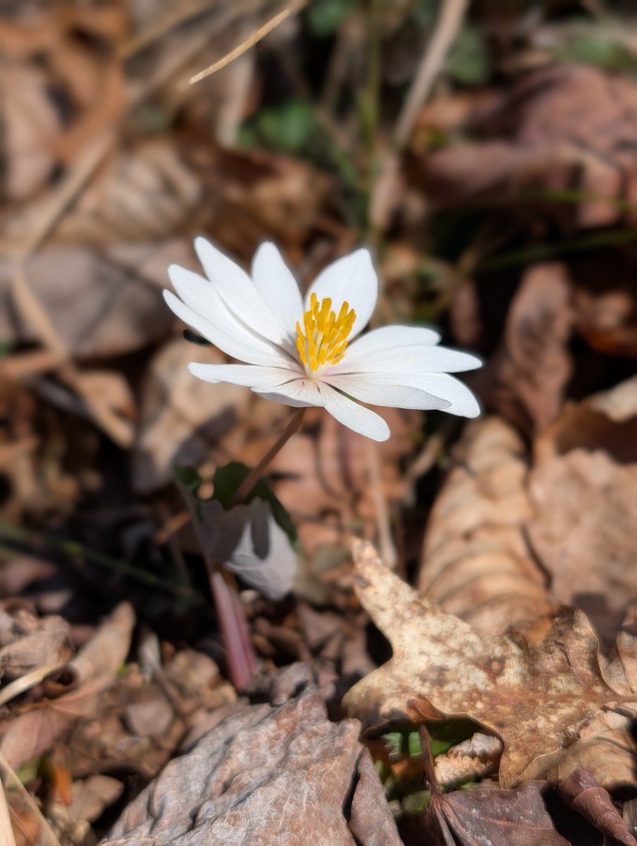 Truth B. Told tweet media