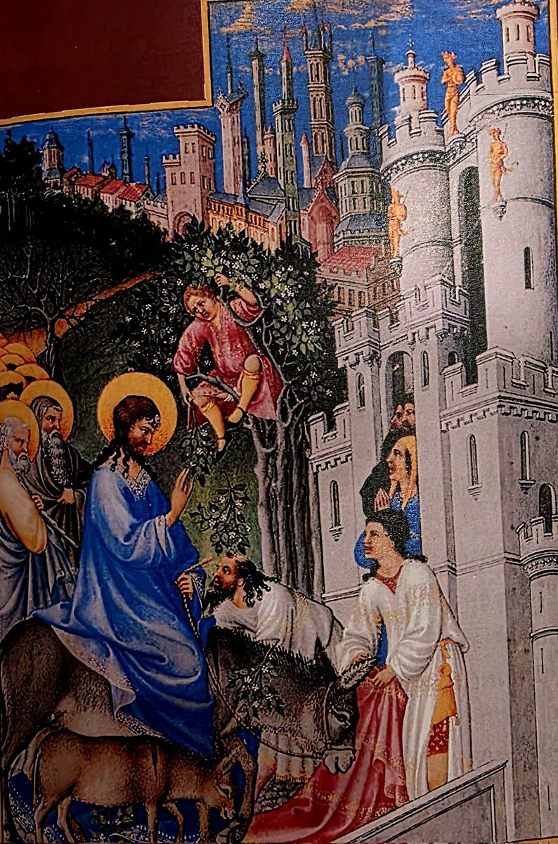 Heute - an Palmsonntag - beginnt die Karwoche, die heilige Woche der Christenheit.