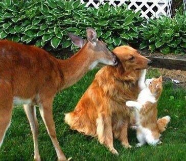 𝓂𝒾𝓃𝒹 𝒻𝓁𝒶𝓎𝑒𝓇🥥 tweet media