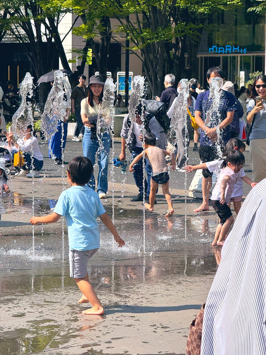 Jocaccia tweet media