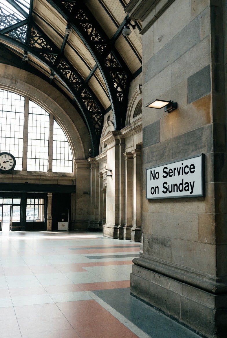 Lizzie the cat tweet media