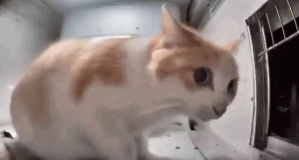 ⎊ Dallas | 🍉 tweet media