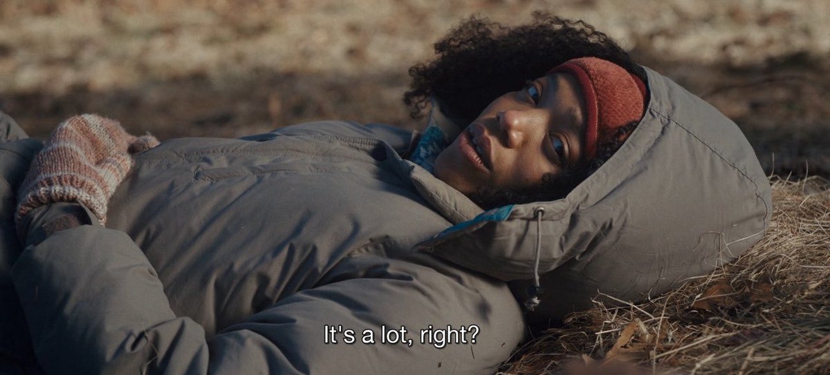 newt 🍉 tweet media