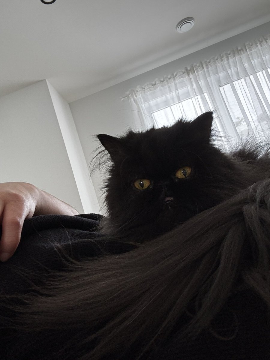 Somos Benito y Lupita tweet media