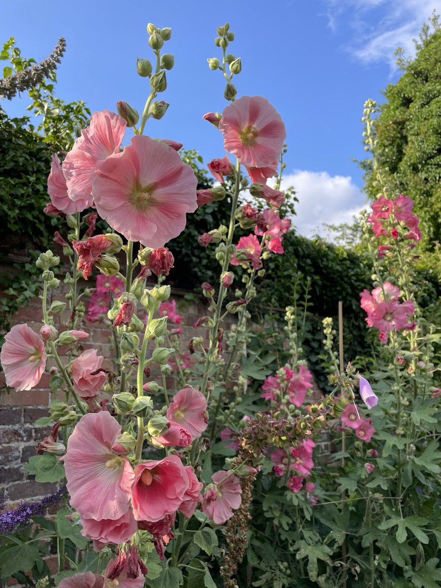 only aesthetic tweet media