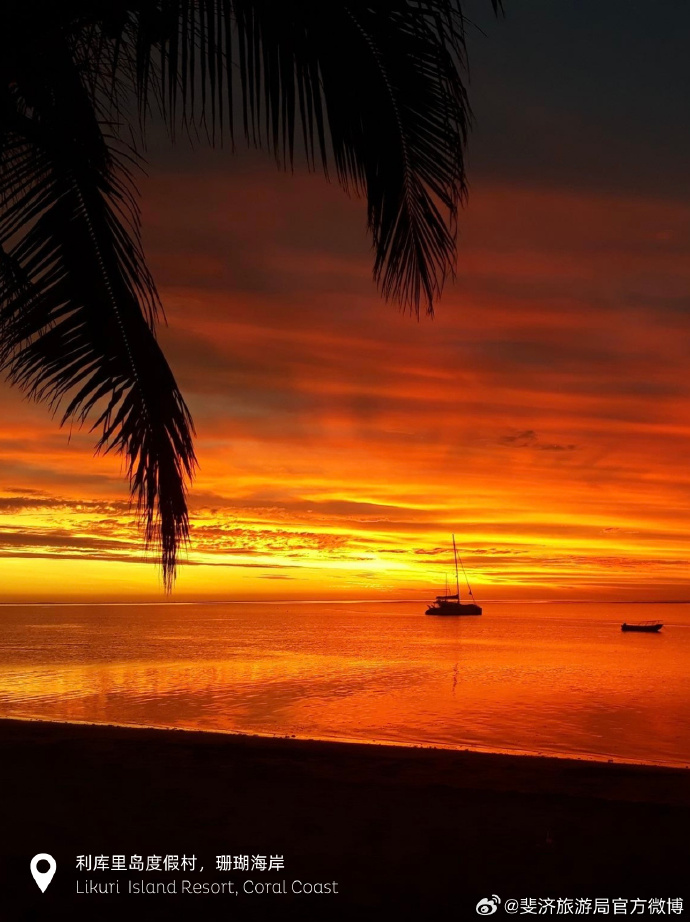 thomas keddy tweet media