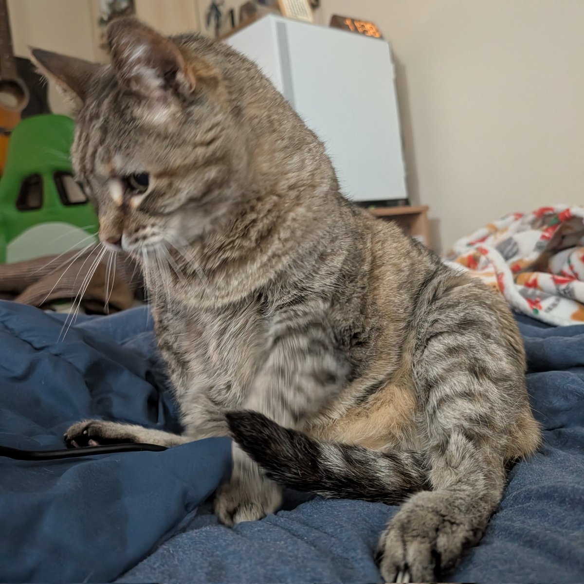 hazel 𖹭 tweet media