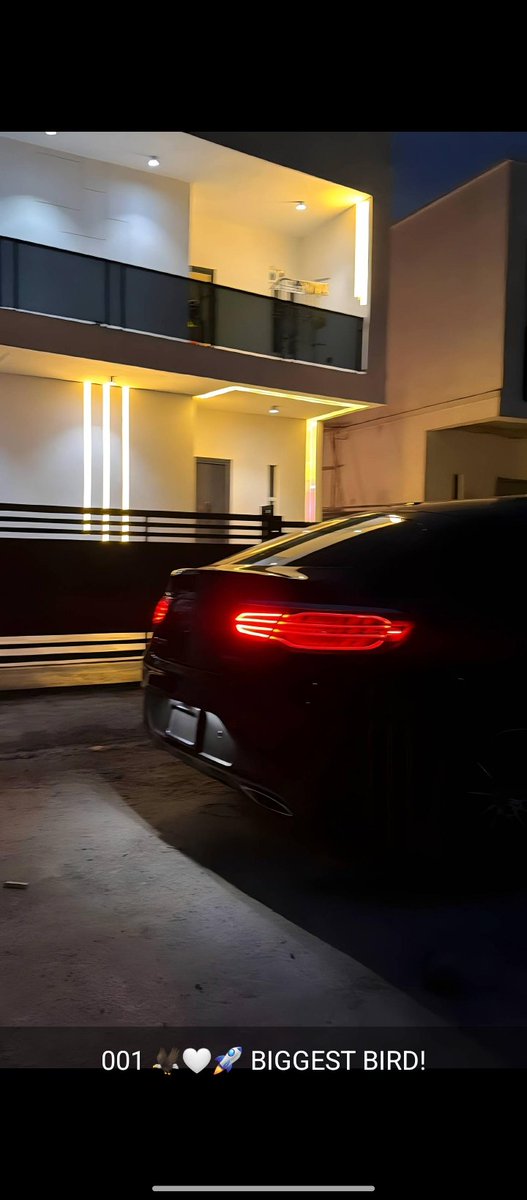 Codex 📉 tweet media