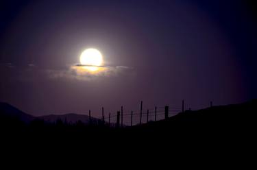 Ray Laskowitz tweet media