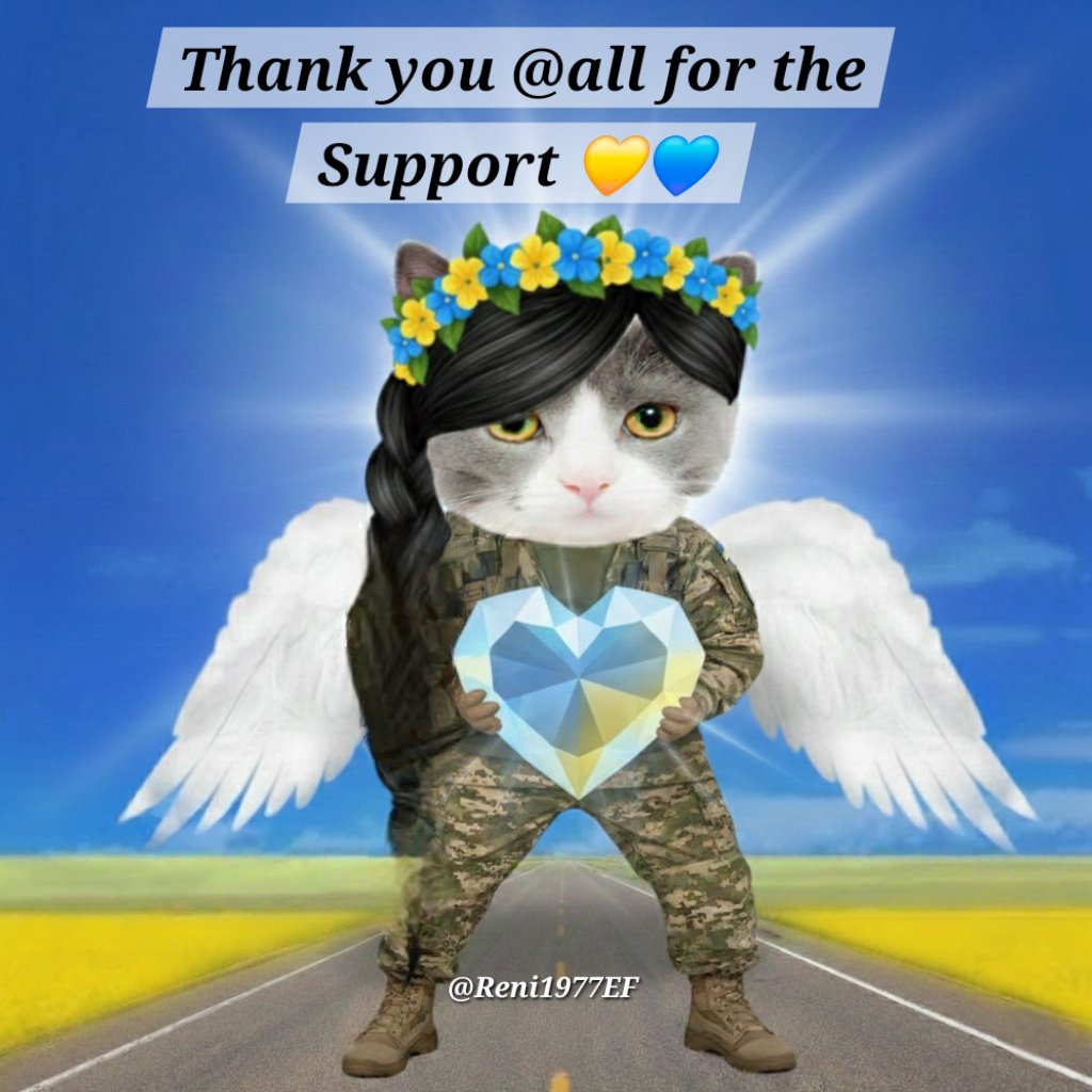 💙💛🌻Reni1977🇩🇪kämpft für die 🇺🇦✊️ tweet media