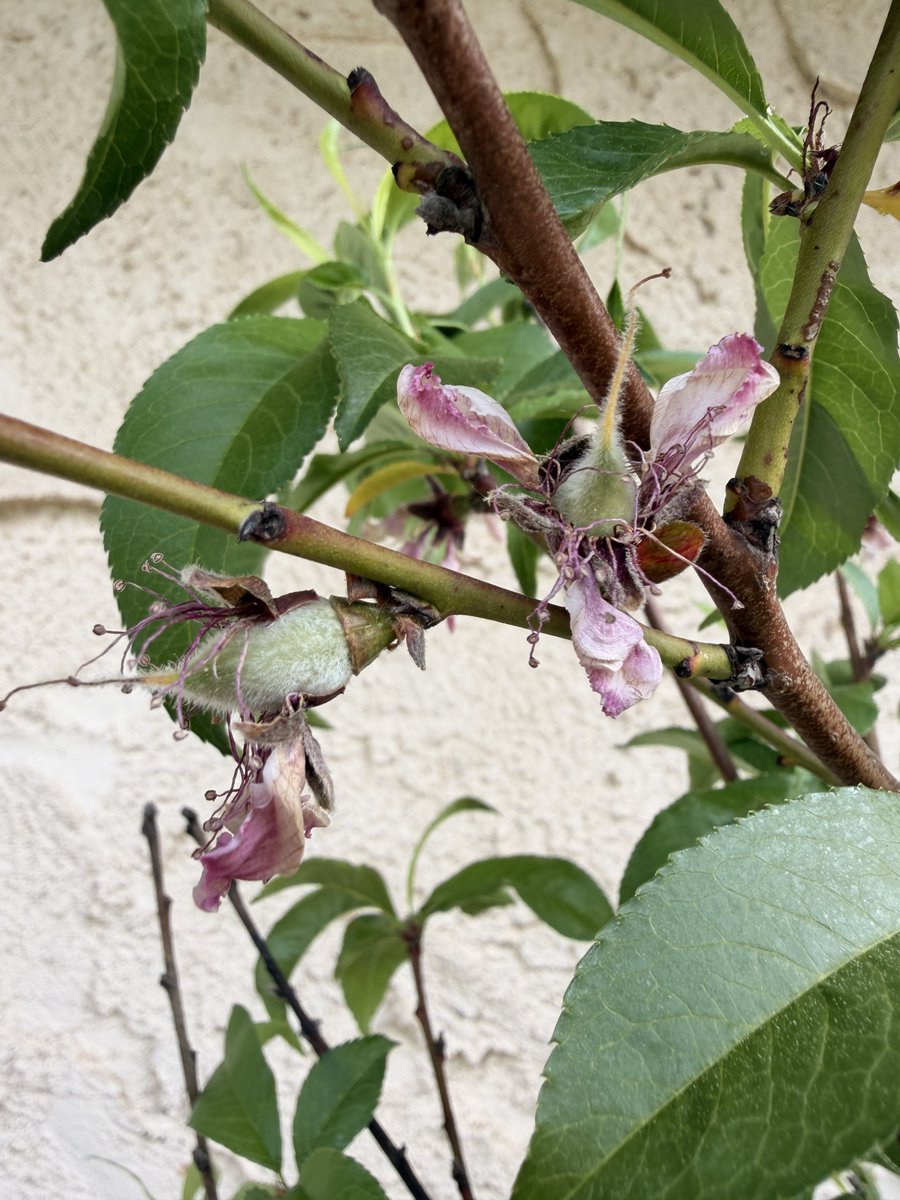 Oatmeal 🥣 tweet media