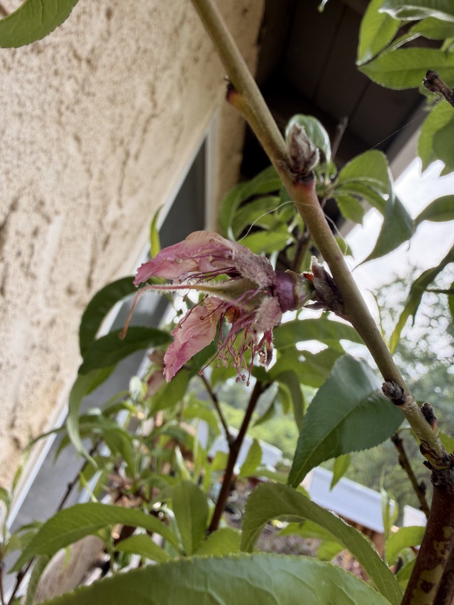 Oatmeal 🥣 tweet media